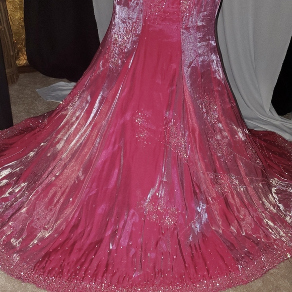 Custom Claire's Collection  Pageant Dress - Picture 4 of 8